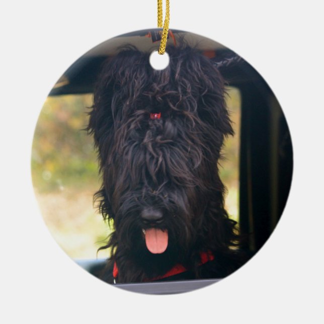 I diesen Jeep besitzen Keramik Ornament (Vorne)