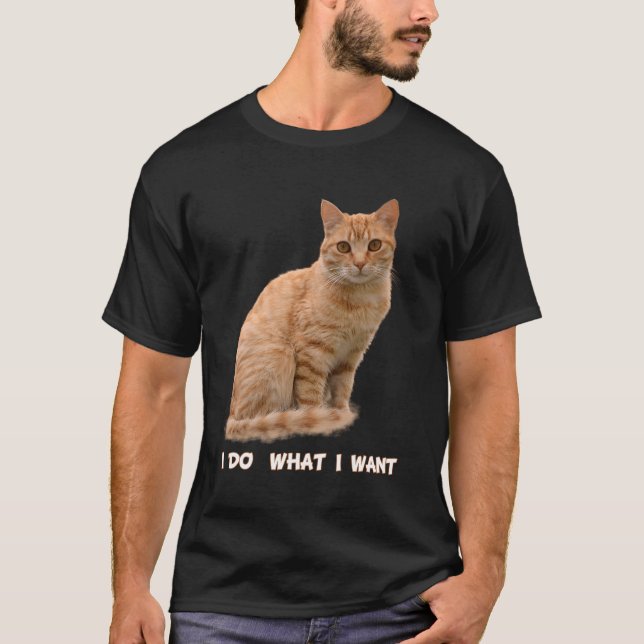I Do W I Woll Orange Tabby Cat T-Shirt (Vorderseite)
