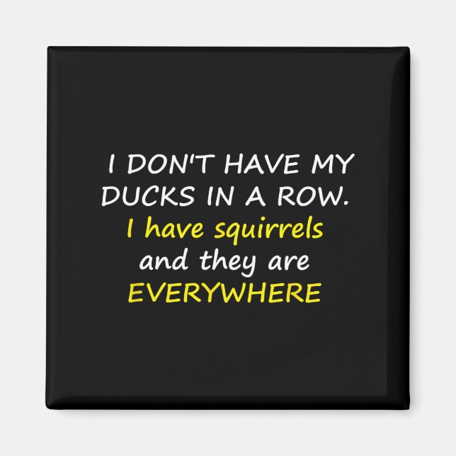 I Don't Have My Ducks In A Row.  Magnet (Vorne)