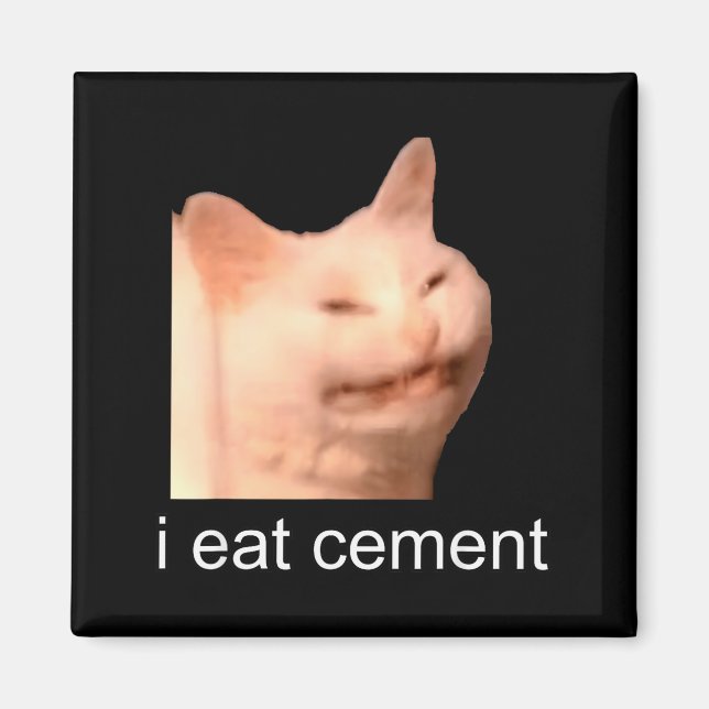 I Eat Cement Cursed Cat Funny Oddly Specific Meme  Magnet (Vorne)