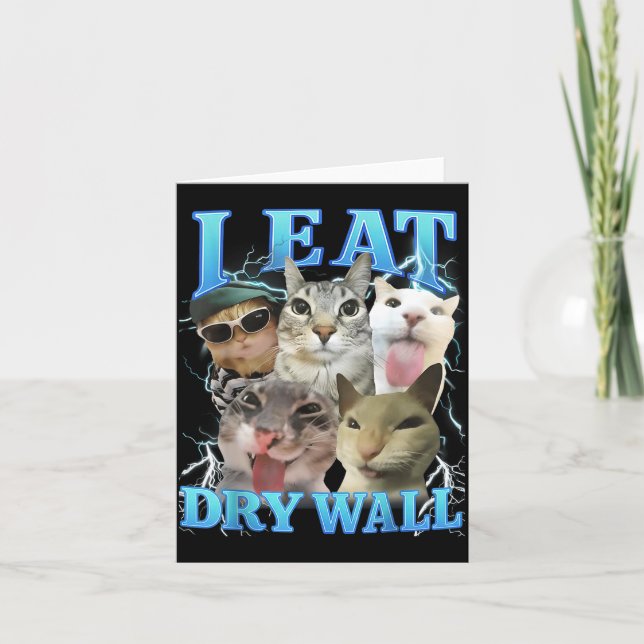 I Eat Dry Wall Funny Cat Meme  Karte (Vorderseite)