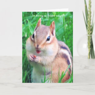 I feel Chipper today! Karte