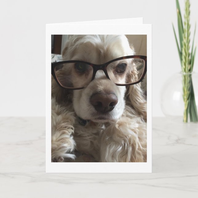 I ****FEHLER**** SIE KARTE (Vorderseite)