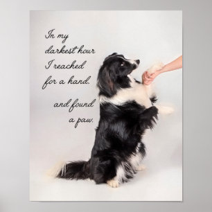 I Found a Paw Poster