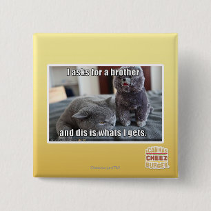 I fragt für einen Bruder Button