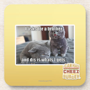 I fragt für einen Bruder Getränkeuntersetzer