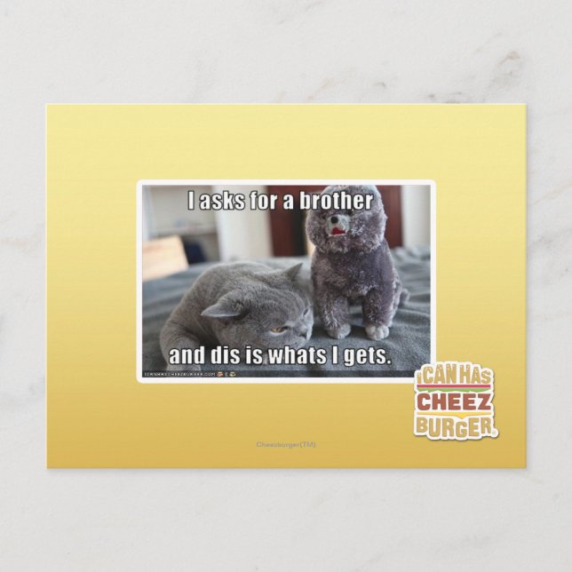 I fragt für einen Bruder Postkarte (Vorderseite)