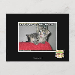 I Furzen in Ihrem gen'ral direkshun Postkarte