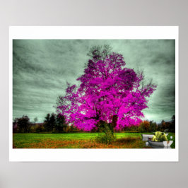 I God Played Dice mit dem Universe Poster