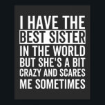 I have the best sister in the world poster<br><div class="desc">Fun little sister,  perfekte little sister birthday,  for little sister</div>