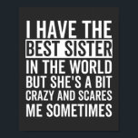I have the best sister in the world poster<br><div class="desc">Fun little sister,  perfekte little sister birthday,  for little sister</div>