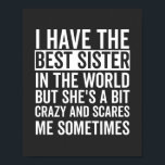 I have the best sister in the world poster<br><div class="desc">Fun little sister,  perfekte little sister birthday,  for little sister</div>