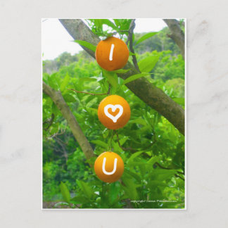 I Heart U Orange Postkarte