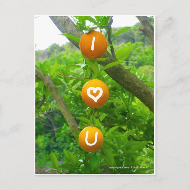 I Heart U Orange Postkarte (Vorderseite)