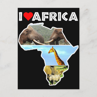I Heat Africa Wildlife Collage Postcard Postkarte