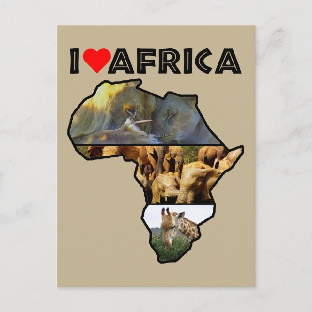 I Heat Africa Wildlife Collage Postcard Postkarte (Vorderseite)
