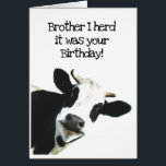 I Herd it Was Your Birthday Brother Holstein Cow<br><div class="desc">I Herd it Was Your Birthday Brother Fun Cow Humor and hope it puts you in a good mooood. Funny animal birthday humor with a herd of cows. Good card for someone with a sense of humor or a farmer</div>