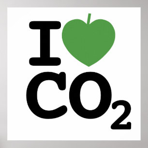 I Herz CO2 - I Blatt Kohlendioxid Poster