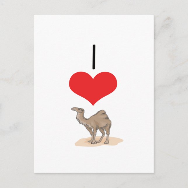 I Herz (Liebe) Kamele Postkarte (Vorderseite)