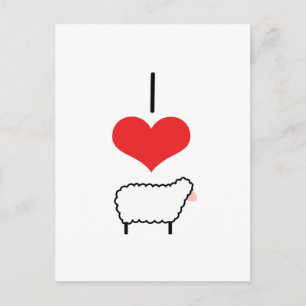 I Herz (Liebe) Schafe Postkarte