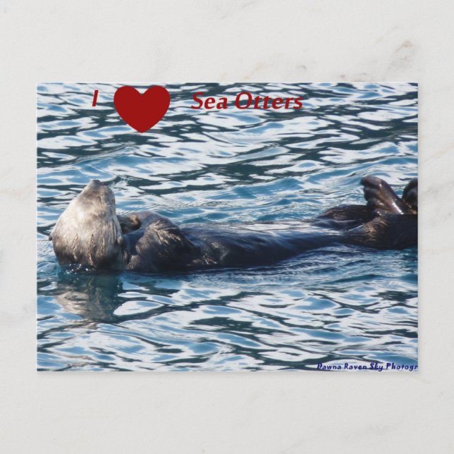 I Herz Sea Otters Postkarte (Vorderseite)