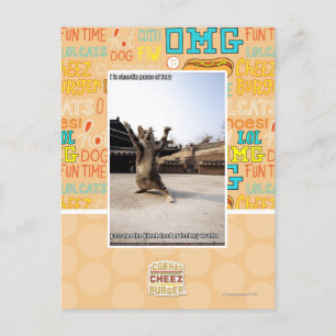 I iz Shaolin-Pfoten aus Zorn Postkarte