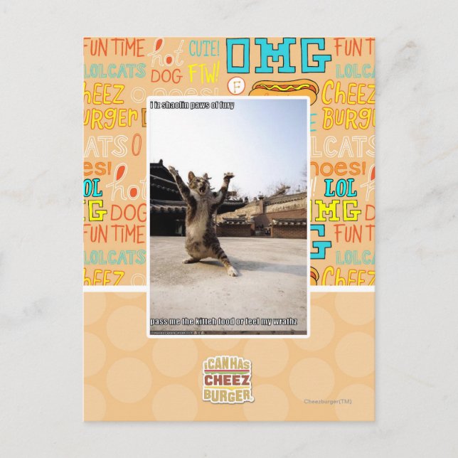 I iz Shaolin-Pfoten aus Zorn Postkarte (Vorderseite)