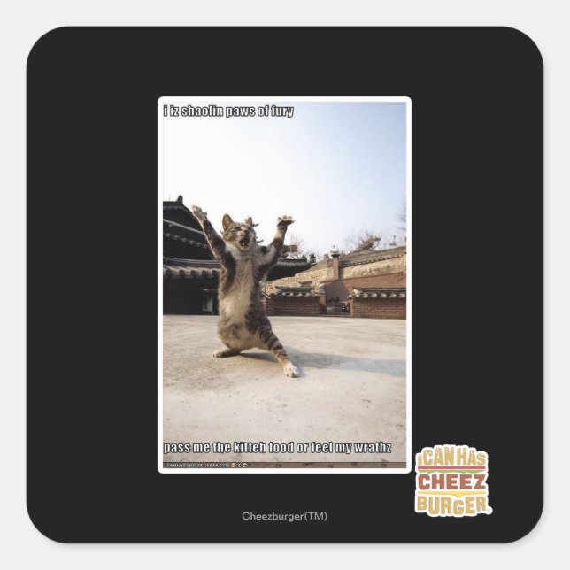 I iz Shaolin-Pfoten aus Zorn Quadratischer Aufkleber (Vorderseite)