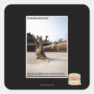 I iz Shaolin-Pfoten aus Zorn Quadratischer Aufkleber