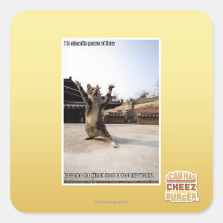 I iz Shaolin-Pfoten aus Zorn Quadratischer Aufkleber