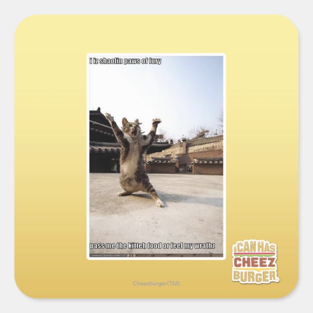 I iz Shaolin-Pfoten aus Zorn Quadratischer Aufkleber (Vorderseite)