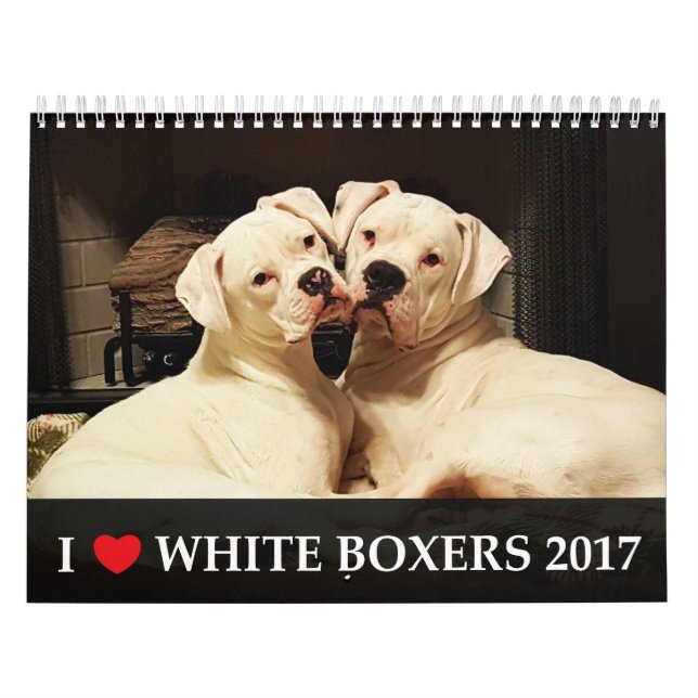 I Kalender der Liebe-weißer Boxer-2017 (Titelbild)