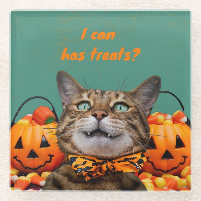 i Kann Leckereien Cat Glass Untersetzer (Vorderseite)