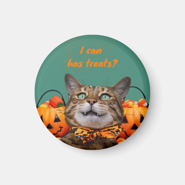 i Kann Leckereien Cat Magnet (Vorne)