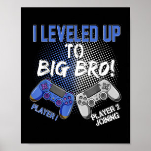 I Leveled up to Big Bro Promoted To Big Brother Poster