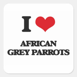 I Liebe African Gray Parrots Quadratischer Aufkleber