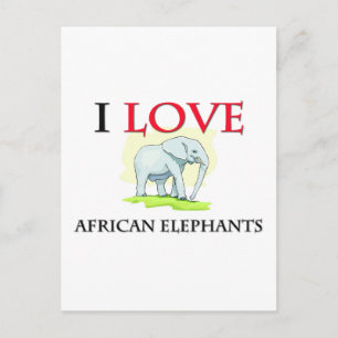 I Liebe afrikanische Elefanten Postkarte