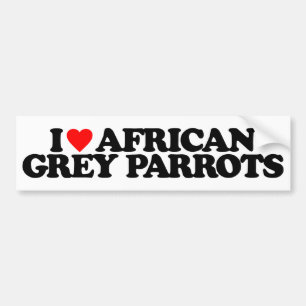 I LIEBE-AFRIKANISCHES GRAU-PAPAGEIEN AUTOAUFKLEBER