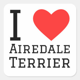I Liebe Airedale Terrier Quadratischer Aufkleber