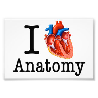 I Liebe Anatomie Fotodruck