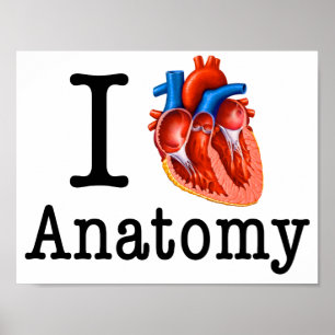 I Liebe Anatomie Poster
