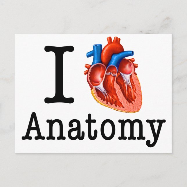 I Liebe Anatomie Postkarte (Vorderseite)