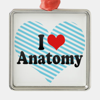 I Liebe-Anatomie Silbernes Ornament