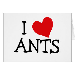 I Liebe Ants