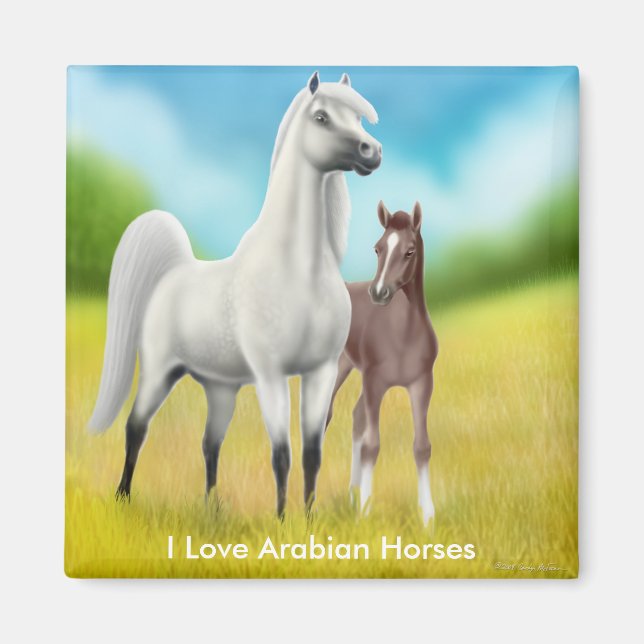 I Liebe Arabian Horses Magnet (Vorne)