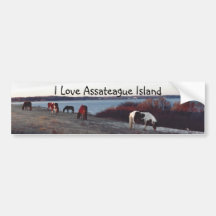 I Liebe Assateague Insel - Autoaufkleber