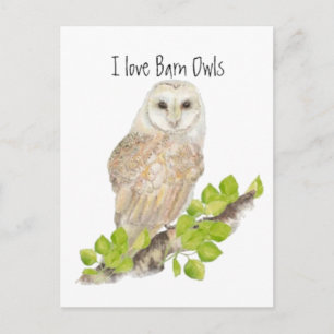I Liebe Barn Owls - Bird Postkarte