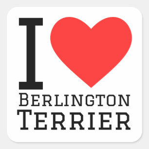 I Liebe Berlington Terrier Quadratischer Aufkleber