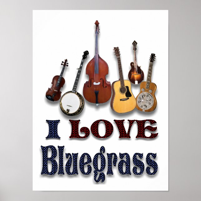 I LIEBE BLUEGRASS - POSTER (Vorne)
