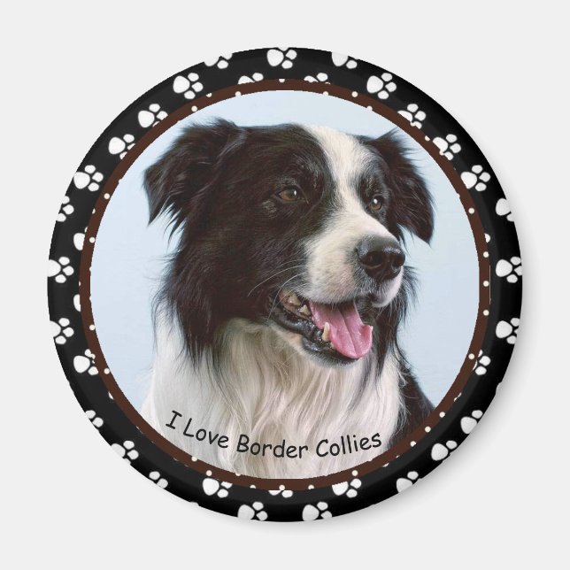 I Liebe Border Collieses Magnet (Vorne)